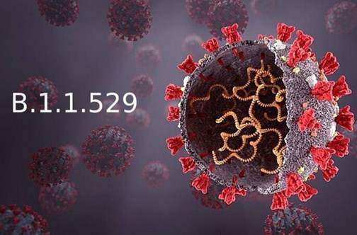 Les informations importantes du 29 novembre